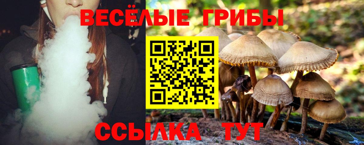 где продают   Вход с VPN  Усинск  Галлюциногенные грибы Cubensis 