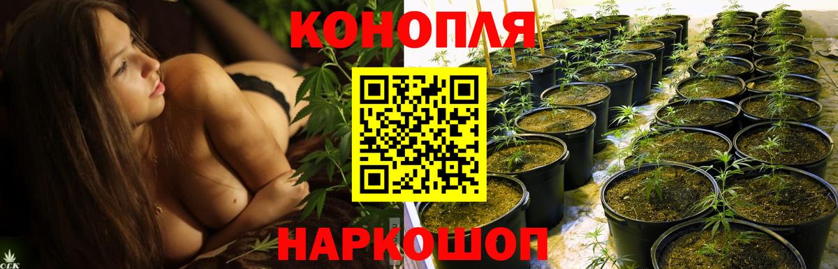Бошки марихуана ГИДРОПОН Усинск